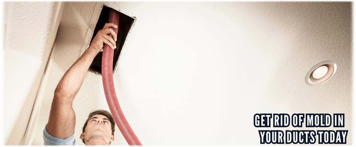 Air Duct Mold Removal in McKinney