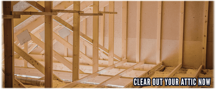 Attic Cleaning McKinney